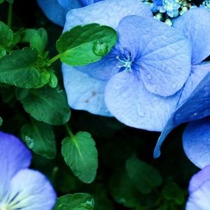 Meet your Posher, Soli